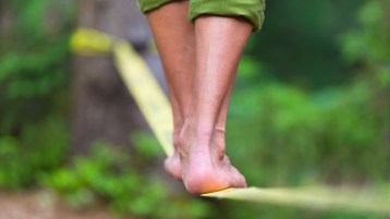 20150805174656-delicate-balance